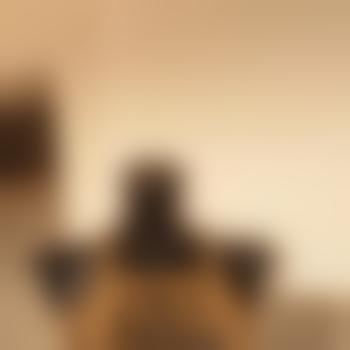 Sir_P_