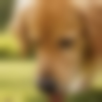 PoopOnMepls