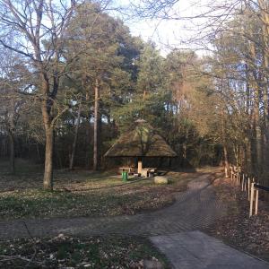 Sereetz Richtung Norden