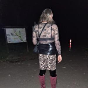 SindyDWTdev