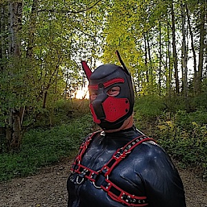 Rubberpup_Enjo