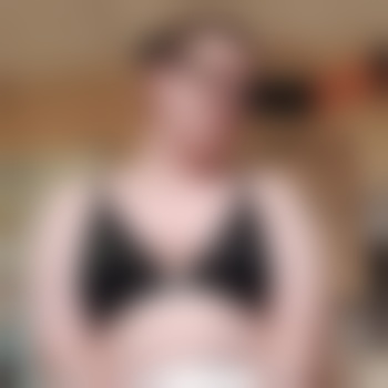 TransBear-