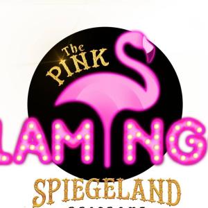 Pink Flamingos