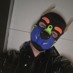 Navy_Puppy