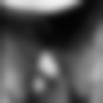 Anonymus37