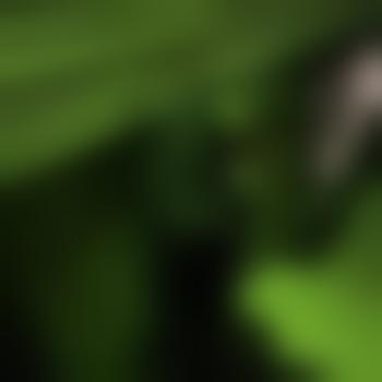 cedar-city54667