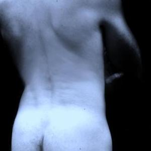 bull_seven