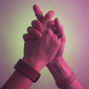 Dominants, Submissives & Switches