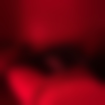 LostPet02
