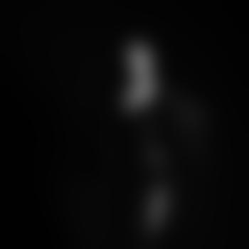Madame_Lys