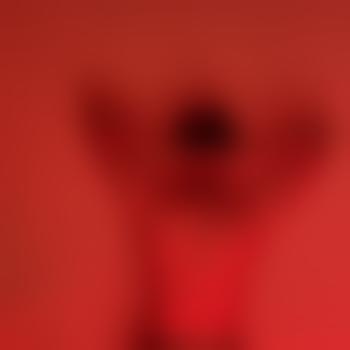 Mr_Lion