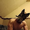 SirWolf7734