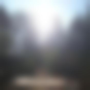 Acid303