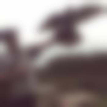 Qui-
