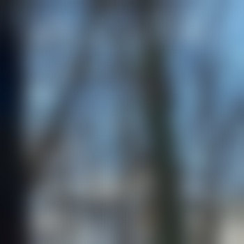verrückte