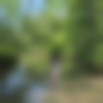 Alica_0489