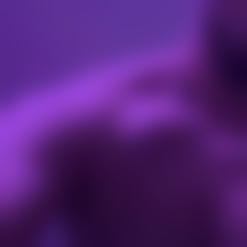 prototyp2929