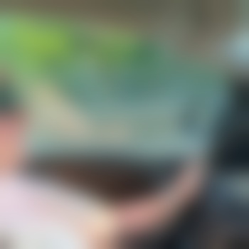 Wir129