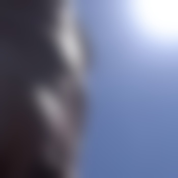 Moonlight81