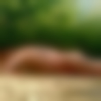 Nudistgay