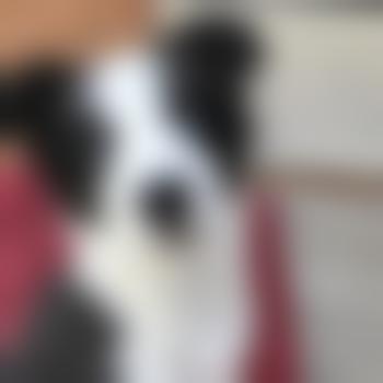 Qui-