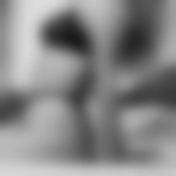 violetrose99