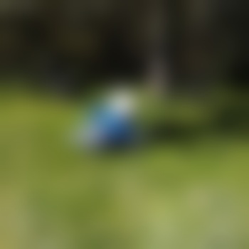 kathleen_rom