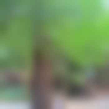 Anonymos_j