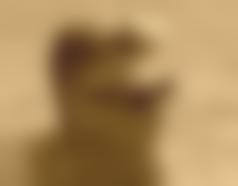 aventuraCGN