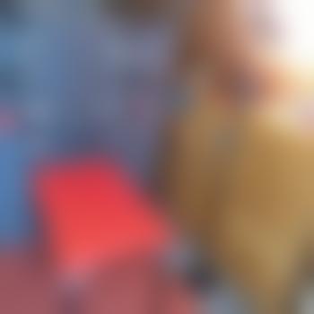 HeinrichVonLustnauer