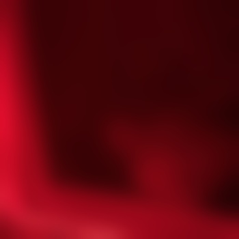 LostPet02