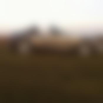 Qui-