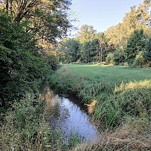 Feldweg zwischen Allstedt und Katharinenrieth