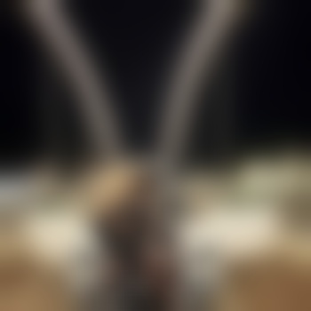 VBs_Bunny