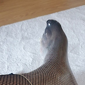 Männin