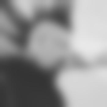 SnifferSnifferson420