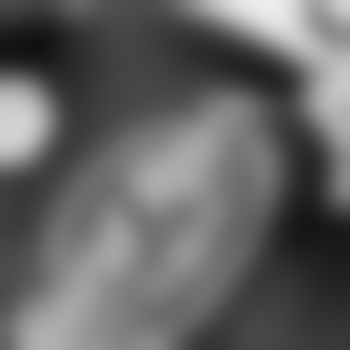 Pampam_2210