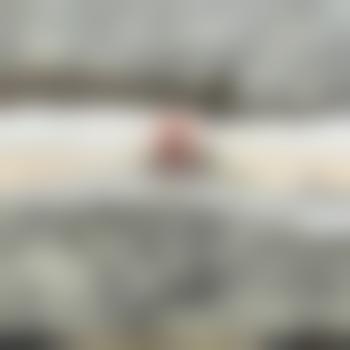 Unter_Ihrer_Führung