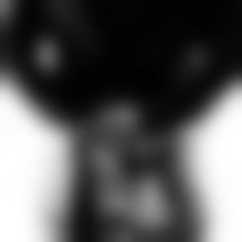 Hisho