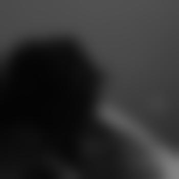 SillyGoose_