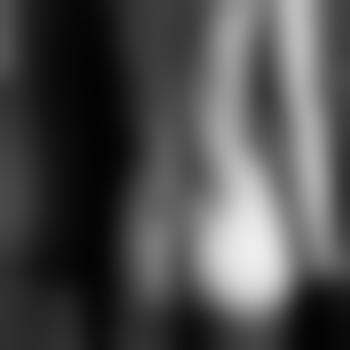 The-Secretary