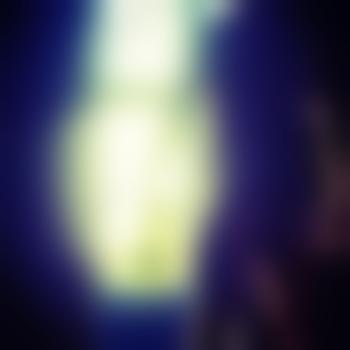 Dominantmrjay
