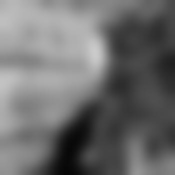 Hawkmoon24