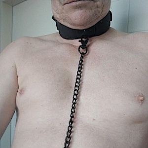 Stute1