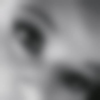Seine_Stute