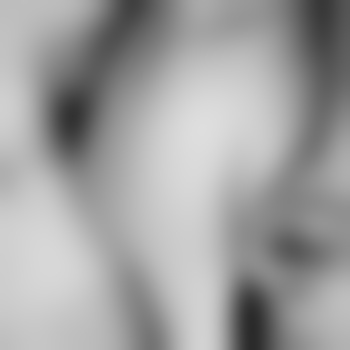 PShot7682