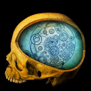 Anatomie Studio