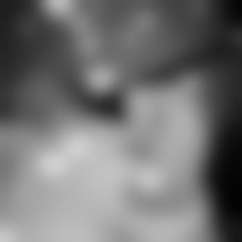 Shmoosey