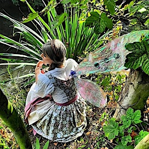 ShyFairy