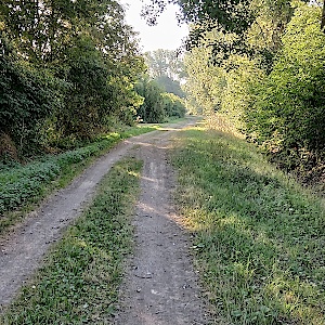 Feldweg zwischen Allstedt und Katharinenrieth